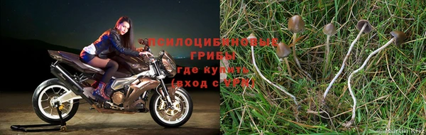 стаф Абдулино