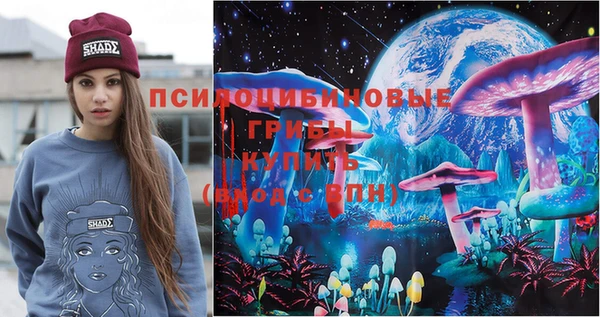 гидропоника Алзамай