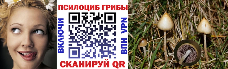 наркошоп  Покачи  Псилоцибиновые грибы мицелий 
