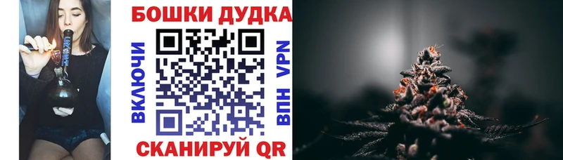Каннабис планчик Покачи